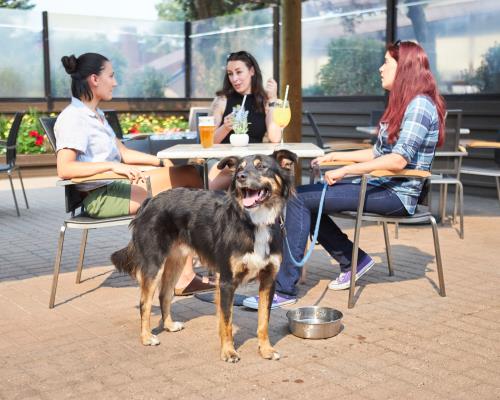 what people are saying about INNhotels